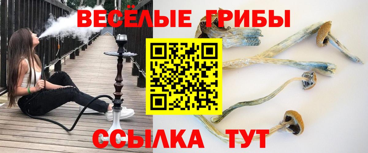 Выборг  Галлюциногенные грибы ЛСД  Вход с VPN  Псилоцибиновые грибы Magic Shrooms 