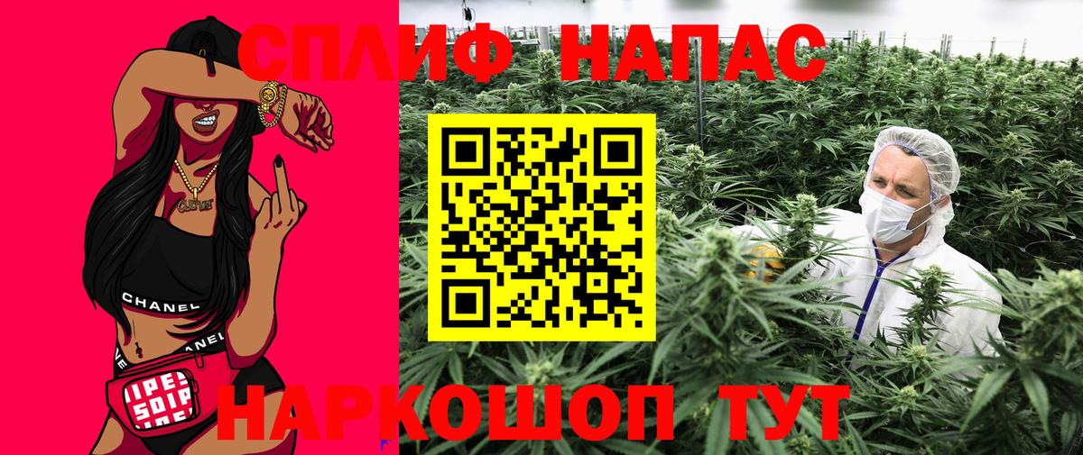 Бошки Шишки OG Kush  Вход с VPN  Бошки марихуана план  Бошки марихуана индика  Выборг  Бошки марихуана семена 